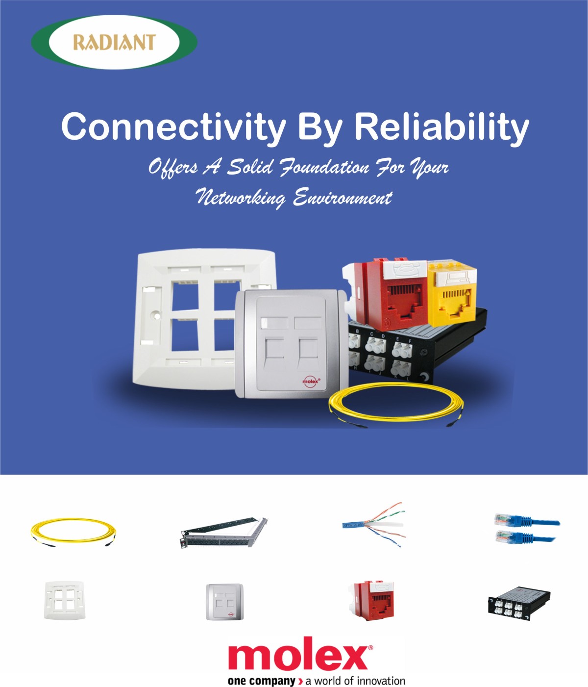 The Importance of Structured Cabling - Radiant Info Solutions Pvt. Ltd.