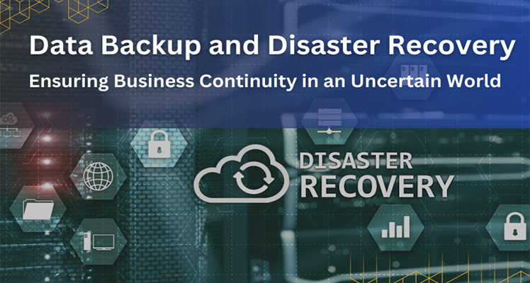 Data backup and recovery