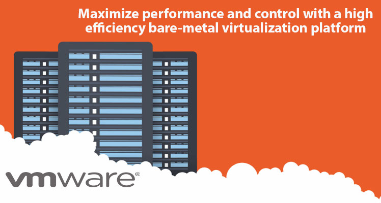 Bare Metal Hypervisor VMware Services Bare Metal Hypervisor VMware Services
