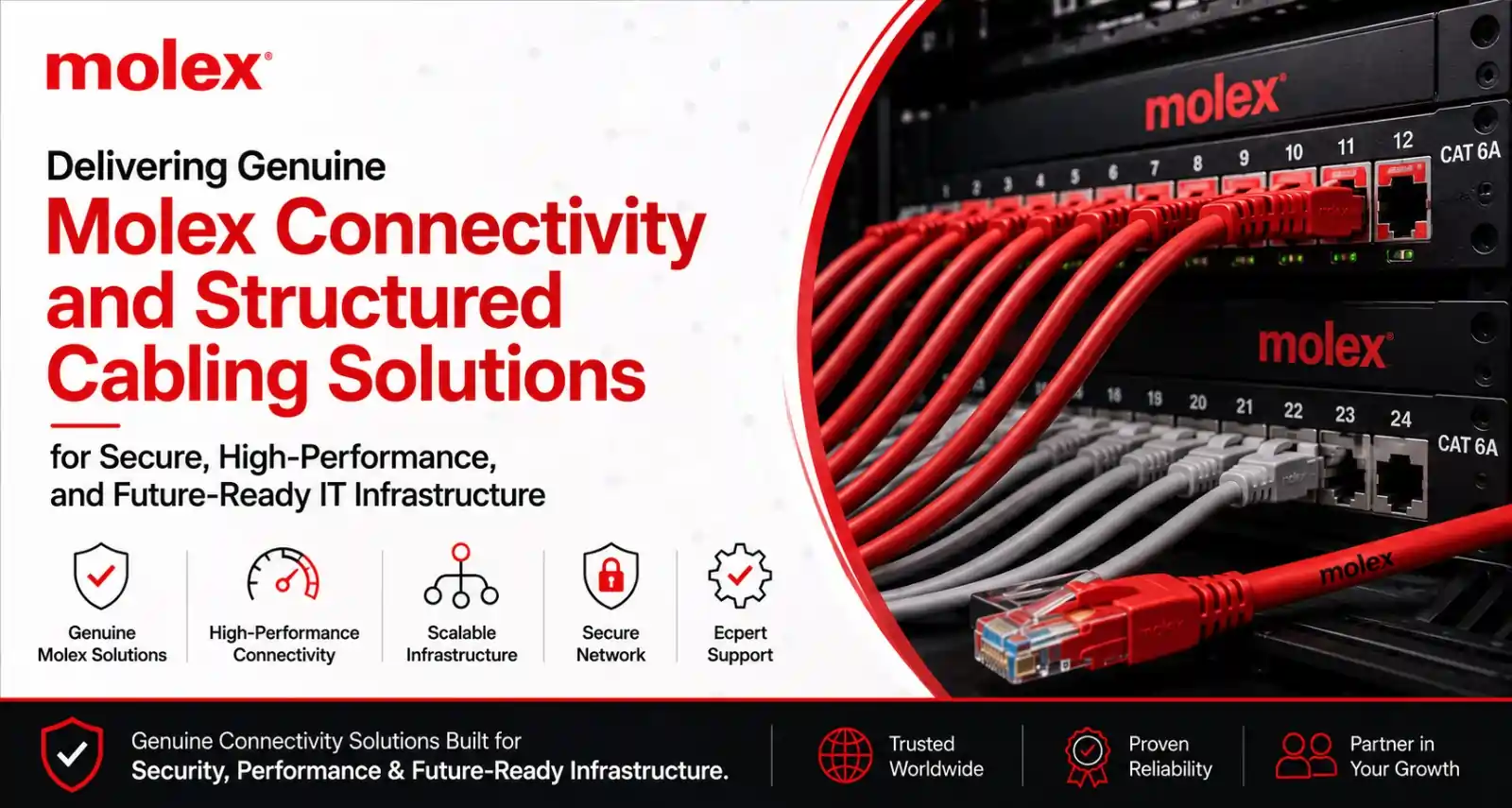 molex-structured-cabling-solutions Molex Structured Cabling Solutions